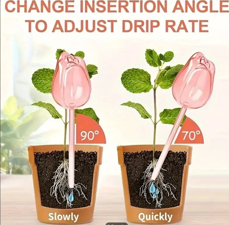 Pink Tulip Plant Watering Balls