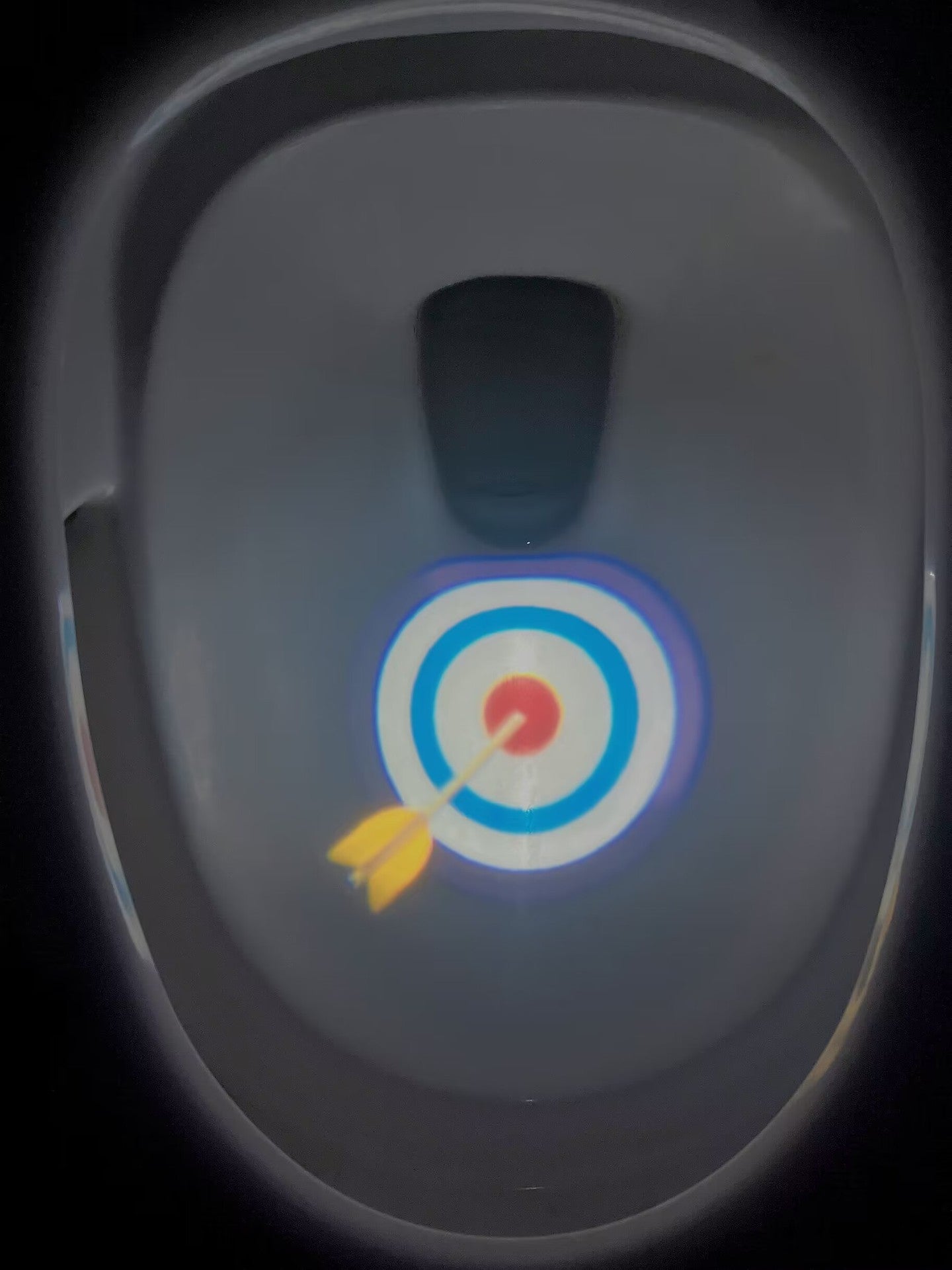 Projection Induction Toilet Light