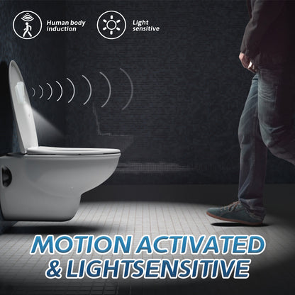 Projection Induction Toilet Light